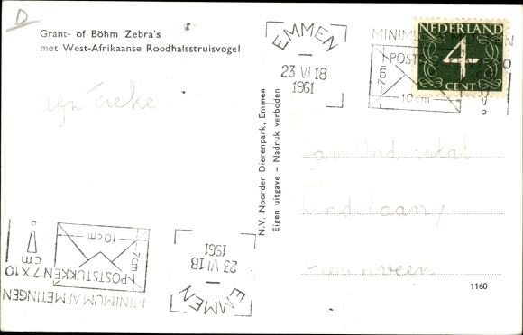 Postcard Emmen Drenthe Netherlands, animal park, zebras, ostrich