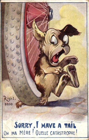 Artist Postcard Right, Sorry, Mave a Tail, Dog gets tail stuck under wheel