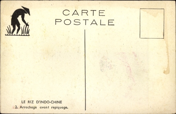 Artist Postcard Vietnam, Indo-China Rice, Uprooting before transplanting, Feldarbeit
