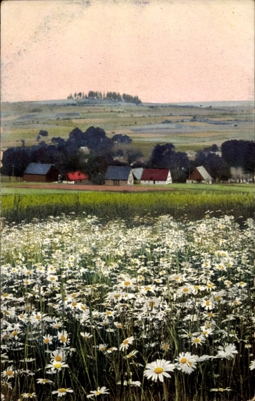 Ak Mildenau im Erzgebirge, Blühende Wiese, Bauernhäuser, hügelige Landschaft, Himmel