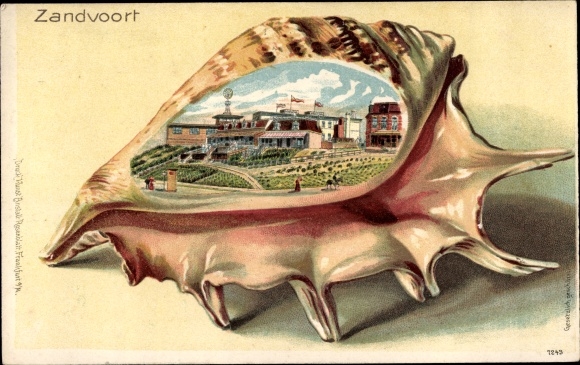 Muschel Litho Zandvoort Nordholland Niederlande, Teilansicht