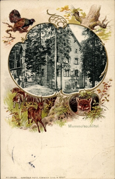 passe-partout Ak Mummelsee Seebach in het Zwarte Woud Baden, Mummelsee Hotel, deer, capercaillie, hunting