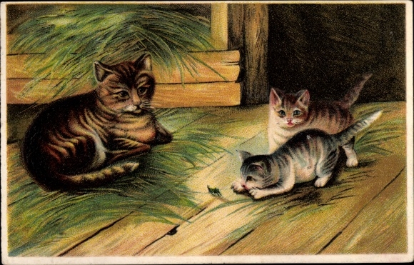 Emboss Postcard mother cat and kittens with a grasshopper in the stable
