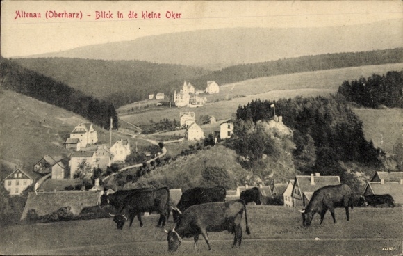 Postcard Altenau Clausthal Zellerfeld in the Upper Harz, Altenau, view of the small Oker, landscape with...