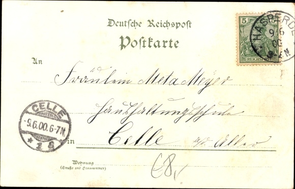 litho Hameln in Nedersaksen, rattenvangerhuis, Klütturm, algemeen beeld