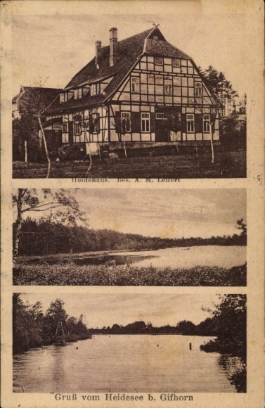 Postcard Gifhorn in Lower Saxony, Heidehaus, Heidesee