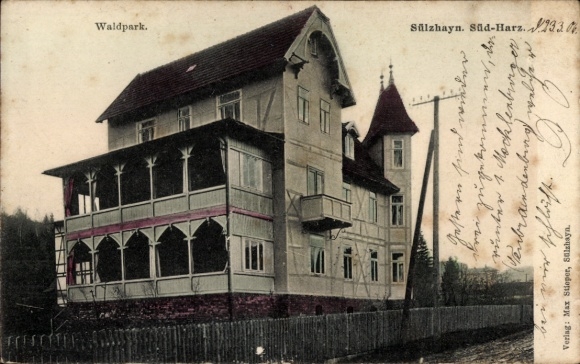 Ak Sülzhayn Ellrich im Harz Thüringen, Waldpark,  Gebäude im Harz, Verlag Max Stieper, Salzhayn