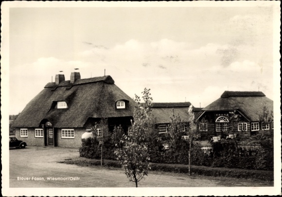 Postcard Wiesmoor in Ostfriesland, blue pheasant