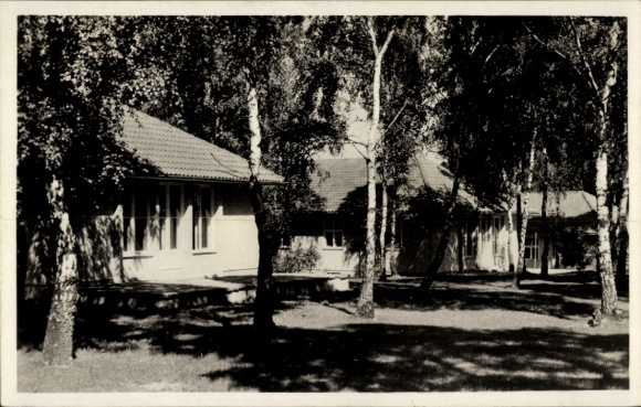 Photo Postcard Wustermark in Brandenburg, Olympic Village, residential buildings in the birch forest