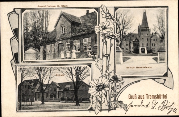 Ak Tremsbüttel in Schleswig Holstein, Geschäftshaus C. Stark, Schloss Hasenclever, Schule