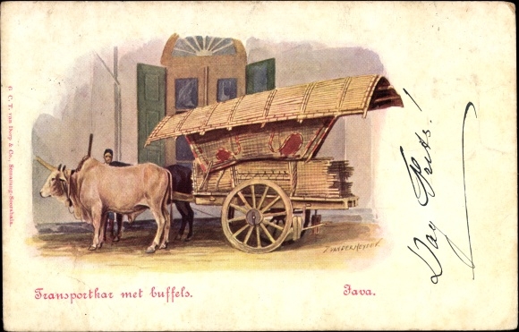 Kunstenaar Ak Java Indonesia, Transportkaz met buffels, Rinderkarren