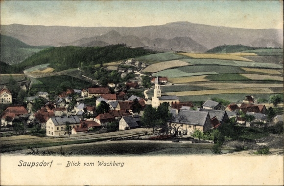 Ak Saupsdorf Sebnitz Saksen, panorama vanaf de Wachberg