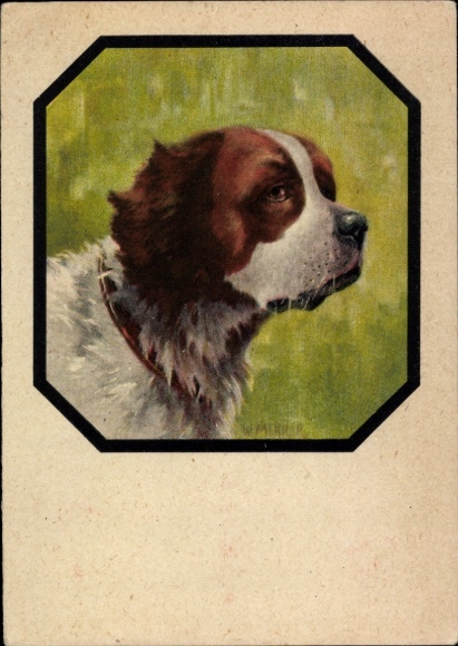 Artist Postcard Merker, W., St. Bernard, dog portrait