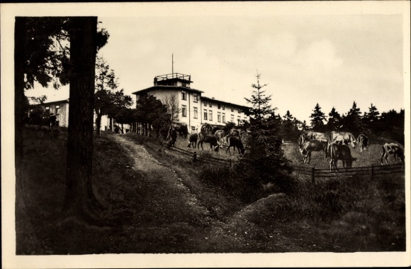 Postcard Wieda Walkenried in the Harz Mountains, Berghotel Stöberhai