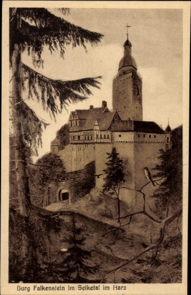 Ak Pansfelde Falkenstein in het Harzgebergte, kasteel Falkenstein