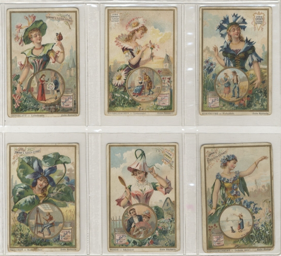 Liebig Pictures Series A 207 Flower Language III 1892