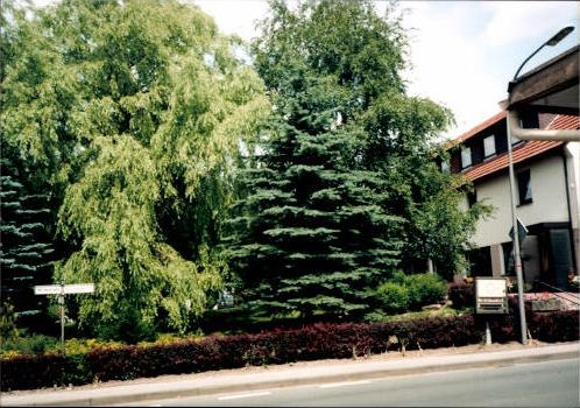 76 photos Lüdenhausen Kalletal in Lippe + surroundings