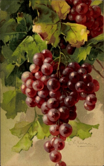 Artist Chromo-Litho Klein, Catharina, Grapes