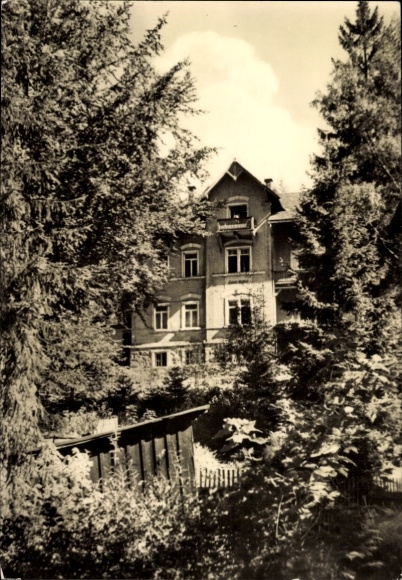 Ak Liebenau Altenberg im Erzgebirge, Historisches Gebäude, umgeben von Bäumen und Sträuchern