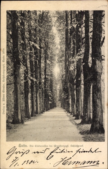 Ak Eutin in Ostholstein, Allee im Großherzogt. Schlosspark, Verlag von Albert Giesler, Fotografie