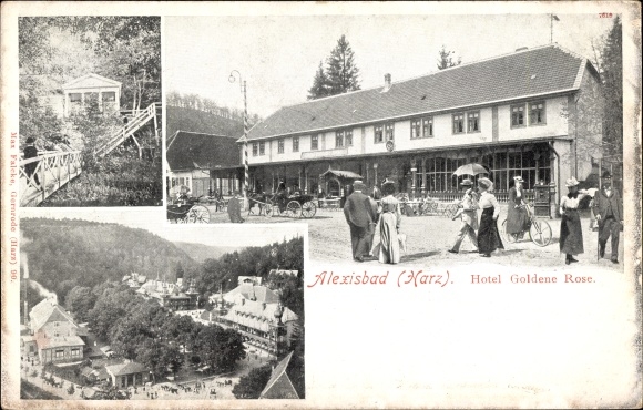 Ak Alexisbad Harzgerode am Harz, Hotel Goldene Rose, Teilansicht der Ortschaft