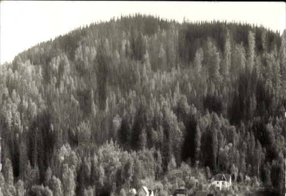 Ak Taubenheim Sohland an der Spree Sachsen, Bergwald, ländliche Idylle, Foto von Heinz Müller