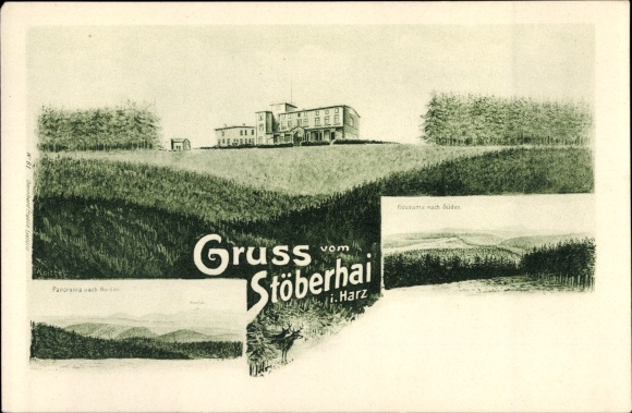 Ak Wieda w Dolnej Saksonii, Berg Hotel Stöberhai, A. Panse