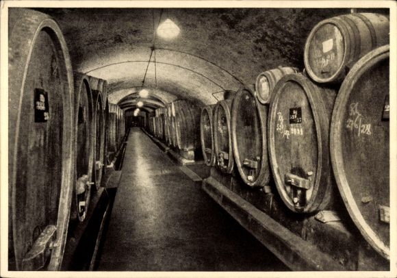 Postcard Bingen am Rhein, Haus Fromm Winery, Cellar 16, Wine Barrels