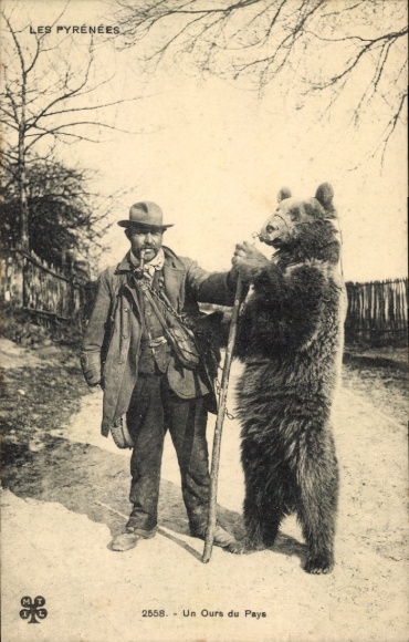 PC Pyrénées Atlantiques, brown bear with holder