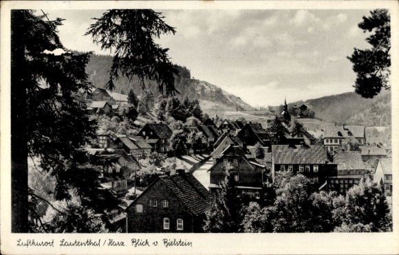 Ak Bergstadt Lautenthal Langelsheim am Harz, Blick vom Bielstein