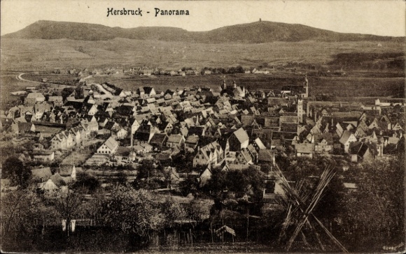Ak Hersbruck in Mittelfranken, Panoramablick auf  Hügel im Hintergrund, Windmühle vorne