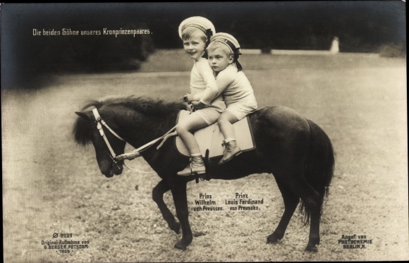 Postcard The two sons of our crown prince couple, Prince Wilhelm and Prince Louis Ferdinand