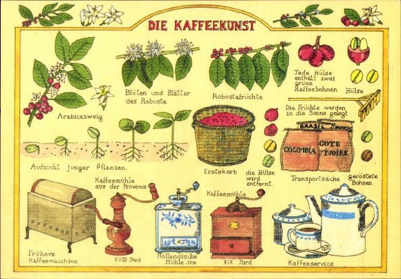 12 alte Ak verschiedene Ansichten, Kaffee und Gewürze