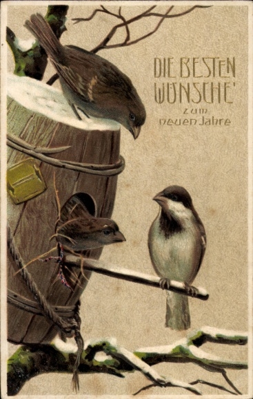 Embossed PC Happy New Year, Sparrows, Birdhouse