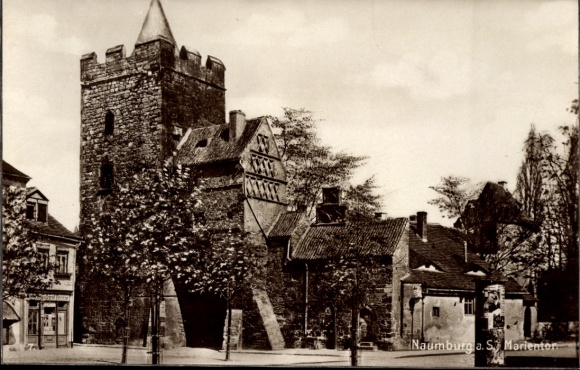 Ak Naumburg an der Saale, Naumburgia, r Turm, Gebäude, Bäume, Schwarz-Weiß-Fotografie