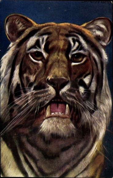 Artist PC Fromme, Ludwig, tiger, animal portrait