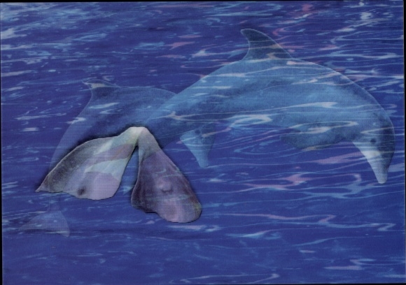 3 D Ak Delfin im Sprung