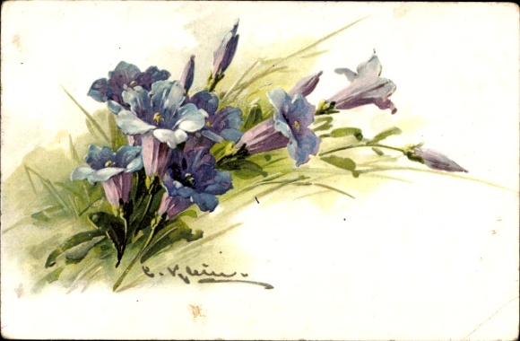Artist Postcard Klein, Catharina, Enzian