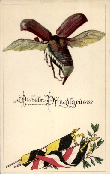 Postcard Congratulations Pentecost, cockchafer, flags