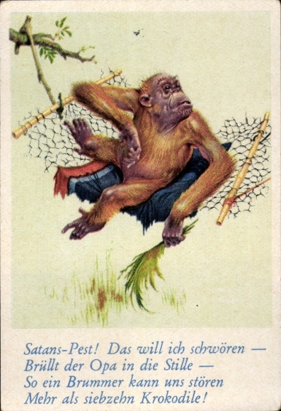 Collector's picture funny pictures No. 35, orangutan on a hammock