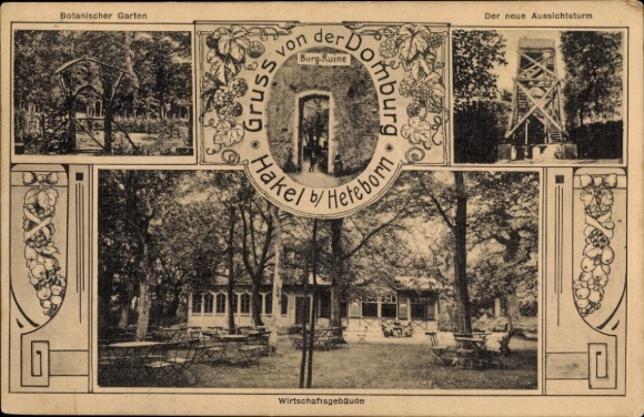 Ak Heteborn Selke Aue in de Harz, Domburg in de Hakel, boerderijgebouwen, kasteelruïne, uitkijktoren