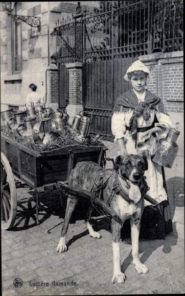 Postcard Laitiere Flamande, Milkmaid, Dog Cart