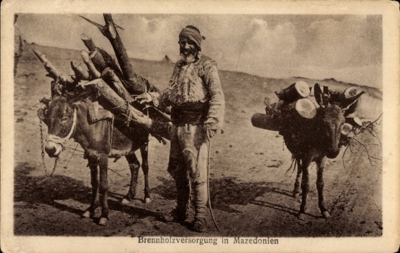 Postcard Macedonia, firewood supply, man with pack donkeys