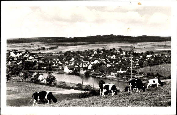 PC Guxhagen in Hesse, panorama, cows