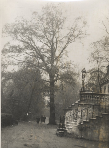 Oryginalne zdjęcie Falkensee, Gutshaus Segefeld, około 1946 r.