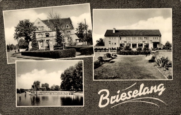 Ansichtkaart Brieselang in Havelland, gedeeltelijke aanzichten, warenhuis