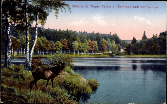 KP Suderode Gernrode Quedlinburg w Harz, Silberteich