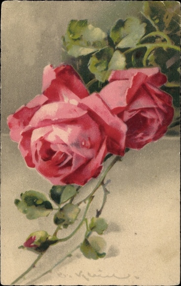 Artist PC Klein, Catharina, red roses, Meissner &amp; book 2467