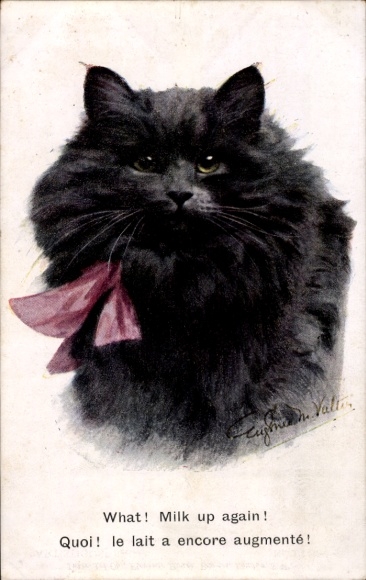 Künstler Ak Valter, Eugenie, Schwarze Katze mit Halsband, Portrait
