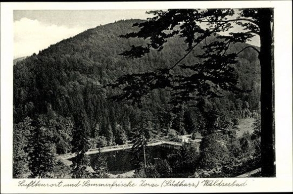 10 old AK Harz, different views